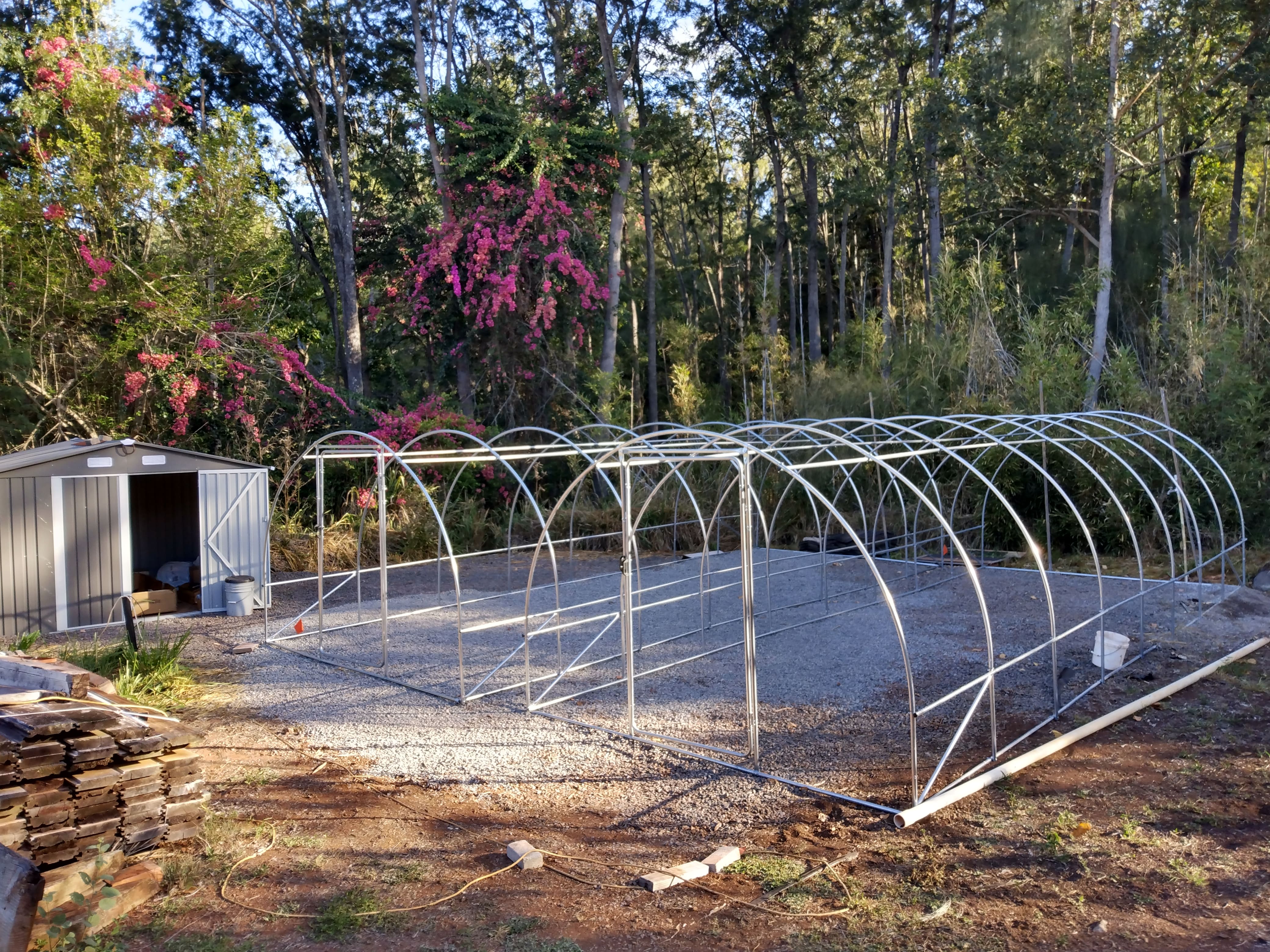 Local food security program 3